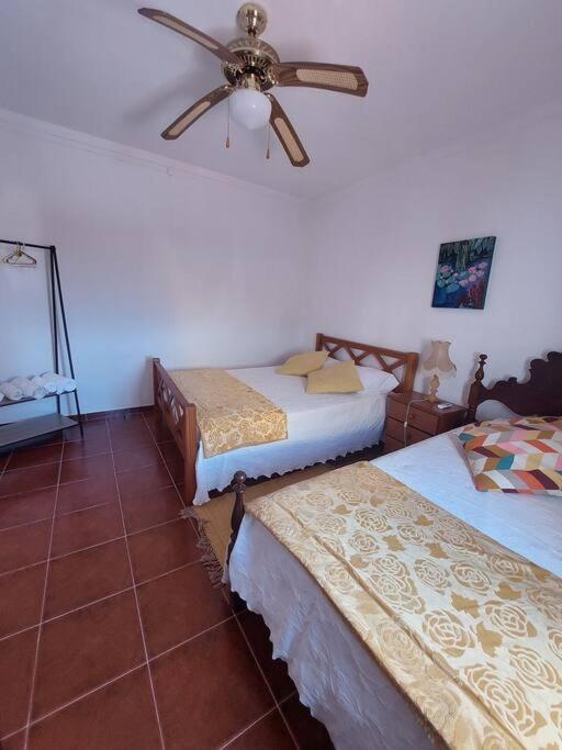 Casa Amarela - Praias Alqueva Povoa de Sao Miguel Екстериор снимка